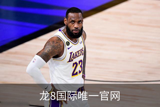龙8国际唯一官网公司简介配图
